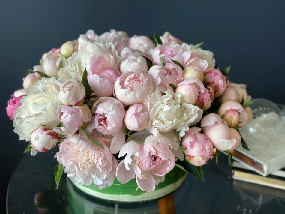 50 Peonies In Low Modern Vase