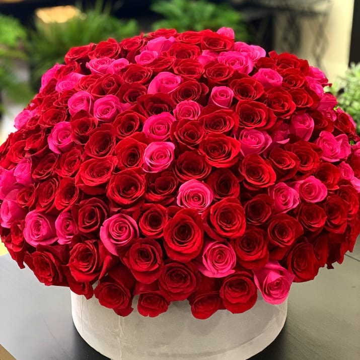 150 Red And Hot Pink Roses In A Box